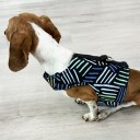 Easyfit Dog Harness - Size M